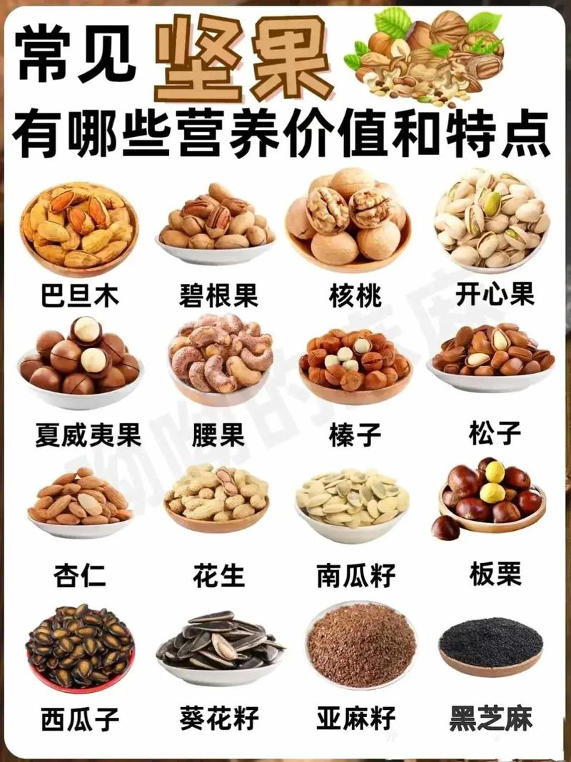 常見堅(jiān)果的營(yíng)養(yǎng)寶庫(kù) 揭秘小小堅(jiān)果的健康密碼