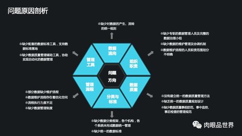 集團數據管控與數據治理解決方案 從數據處理到智能決策